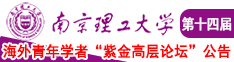 操亚洲女孩B视频南京理工大学第十四届海外青年学者紫金论坛诚邀海内外英才！